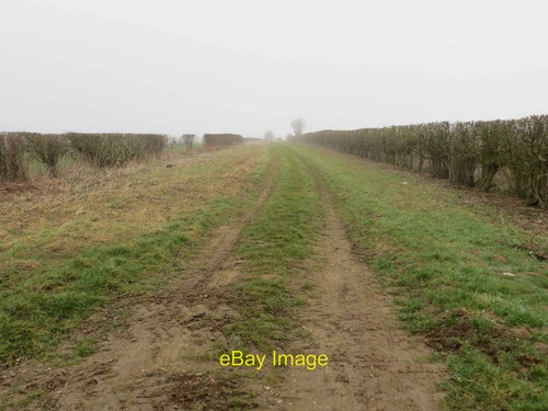 Foto 12x8 hecke geschlossenes - 12x8,