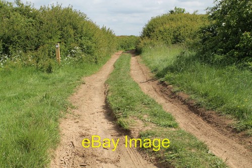 Foto 12x8 the viking way - foto,