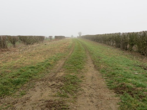 Foto hecke geschlossenes - foto, a2